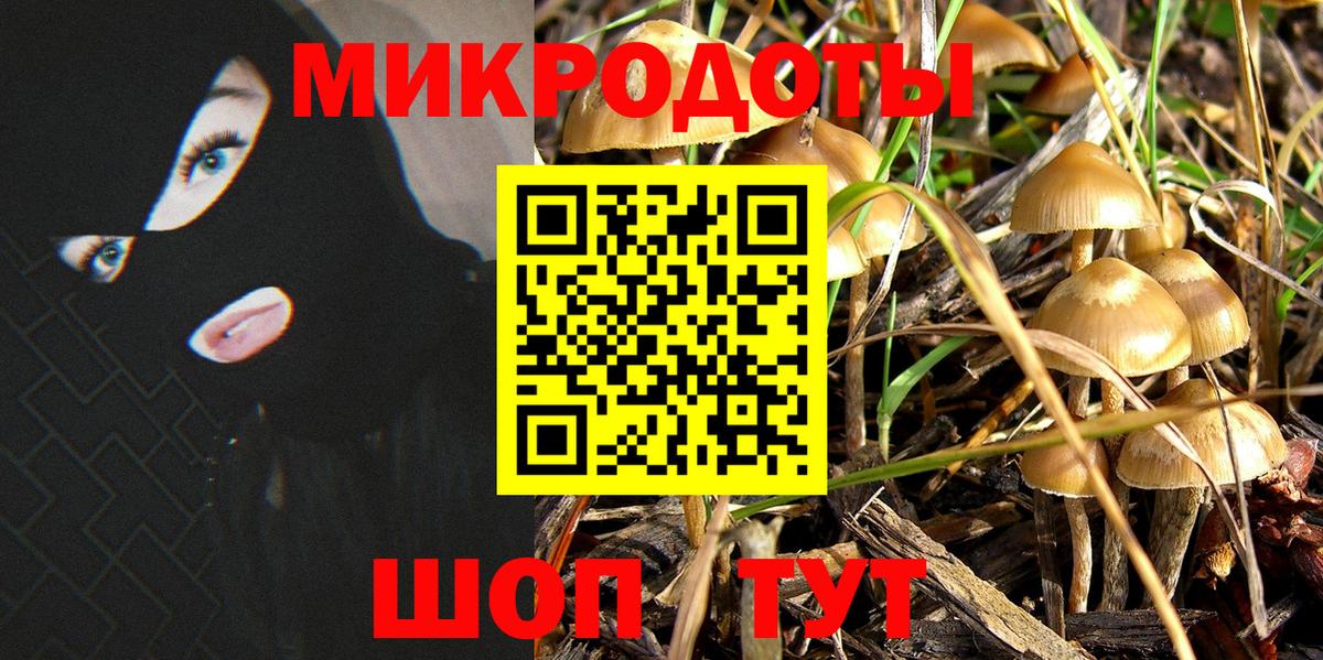 купить наркотики сайты  Вход с VPN  Минусинск  Псилоцибиновые грибы ЛСД 